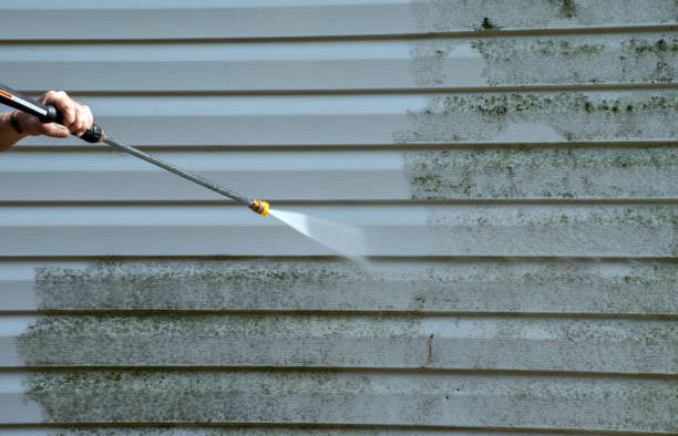 Best Fence Cleaning  in Delphi, IN
